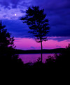 Doeview Doe Lake