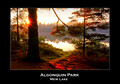 Algonquin Park