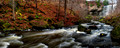 Webster's Falls bottom