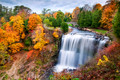 Webster Falls