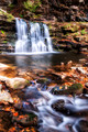 Cayuga Falls ,PA